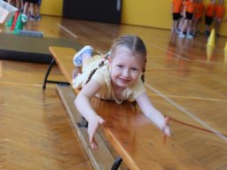 48700096811227989496480526061381520958385310n